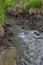 A shallow forest river with a wild view. Forest small river wild landscape. Wild river stream branches.