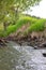 A shallow forest river with a wild view. Forest small river wild landscape. Wild river stream branches.