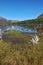 Shallow lakes, surrounded by forest