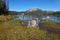 Shallow lakes, surrounded by stumps and snags