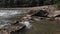 Shallow mountain river flowing near road.