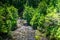 Shallow mountain stream amid lush greenary of the banks