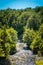 Shallow mountain stream flowing over rocks amid lush greenary of the banks