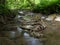 Shallow mountain stream in green forest at summer, water flows over wet stones, some stones are covered with moss