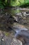 Shallow mountain stream in green forest at summer, water flows over wet stones, some stones are covered with moss