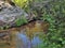 Shallow Pool at Hanging Rock State Park