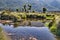 Shallow pool with reeds and grasses in the Rakatu Wetlands, New Zealand