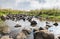 Shallow river flowing near the remnants of the early Bronze Age megalithic complex of the early Bronze Age  Wheels of Spirits,Ruj