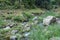 Shallow river with many boulders in river bed. Grass grows between stones and along the banks. Large clumps of grass