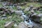 Shallow river with many boulders in river bed. Grass grows between stones and along the banks. Large clumps of grass