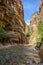 Shallow river in a narrow canyon Zion National Park, Utah, United States