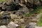 Shallow Rocky pond featuring a mini waterfall