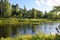 Shallow spill and the backwater of the river Oredezh in Vyritsa Sunny summer day