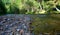 A shallow stony river winds through a beautiful morning forest