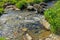 Shallow stream among grass