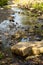 Shallow Stream Littered with Rocks and Pebbles.