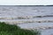 Shallow water, the excitement of the Moscow sea near Redkino, Tver region