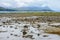 Shallow water at Lake Tekapo reveals a lot of small stones