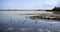 Shallow water on Maliy Sasik Lake. Small cluster of seagulls on Maliy Sasik Lake