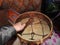Shaman drums in the hands of Shamans. Ritual. Ceremony. Near