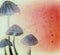 Shaman Sagely Watercolors Abstract Artistic Mushrooms