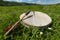 Shamanic tambourine on a meadow 2017
