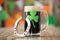 Shamrock on glass of beer and horseshoe on table