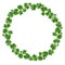 Shamrock Green Wreath. Irish Good Luck Charm Wreath Isolated on White Background. St. Patrick`s Day Design.