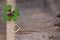 Shamrock and horseshoe on wooden background for New Year\'s Eve/S