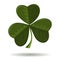 Shamrock, seamrog, trifoliate clover - symbol of Ireland and celebration of St. Patricks Day