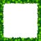 Shamrock St Patricks frame. Blank holiday irish clover border postcard