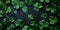 Shamrocks and lucky fourleaf clover a vibrant St Patricks Day celebration. Concept St, Patrick\\\'s Day, Shamrocks, Lucky Four-Leaf