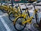 SHANGHAI, CHINA - 11 MAR 2019 - A row of Ofo brand bike sharing bicycles along a walkway in downtown Shanghai. Bike sharing /