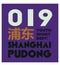 Shanghai Pudong t-shirt design