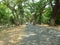 Shantiniketan Road beauty Tagore Place