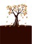 Shape of colour autumn Tree. Vector outline Illustration. Plant in Garden