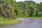 Shape Curve road in the Rural