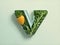 a shape latter V with vegetables on white background, world vegetable day, vegan day, world food