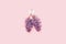 Shape of lungs made from flowers. World Tuberculosis Day or World Lung Day concept.