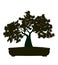 Shape of Tree with Leaves. Vector outline Illustration of Bonsai