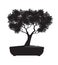 Shape of Tree with Leaves. Vector outline Illustration of Bonsai