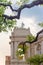 Shaped twisted branches of sophora japonica against the historic building