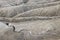 Shapes in ground formed by the mud flows at Muddy Volcanoes of Paclele Mari, near Buzau.