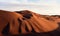 The shapes of sand dunes in lut desert