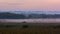 Shapwick Heath at dusk, with starling murmuration