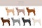 Shar Pei bone mouth clipart. Different poses, coat colors set