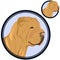 Shar pei dog head in circle