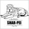 Shar-pei Dog - vector illustration for t-shirt, logo and template badges