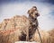 Shar Pei mixed breed dog posing in the desert