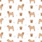 Shar Pei modern meat mouth seamless pattern. Different poses, coat colors set